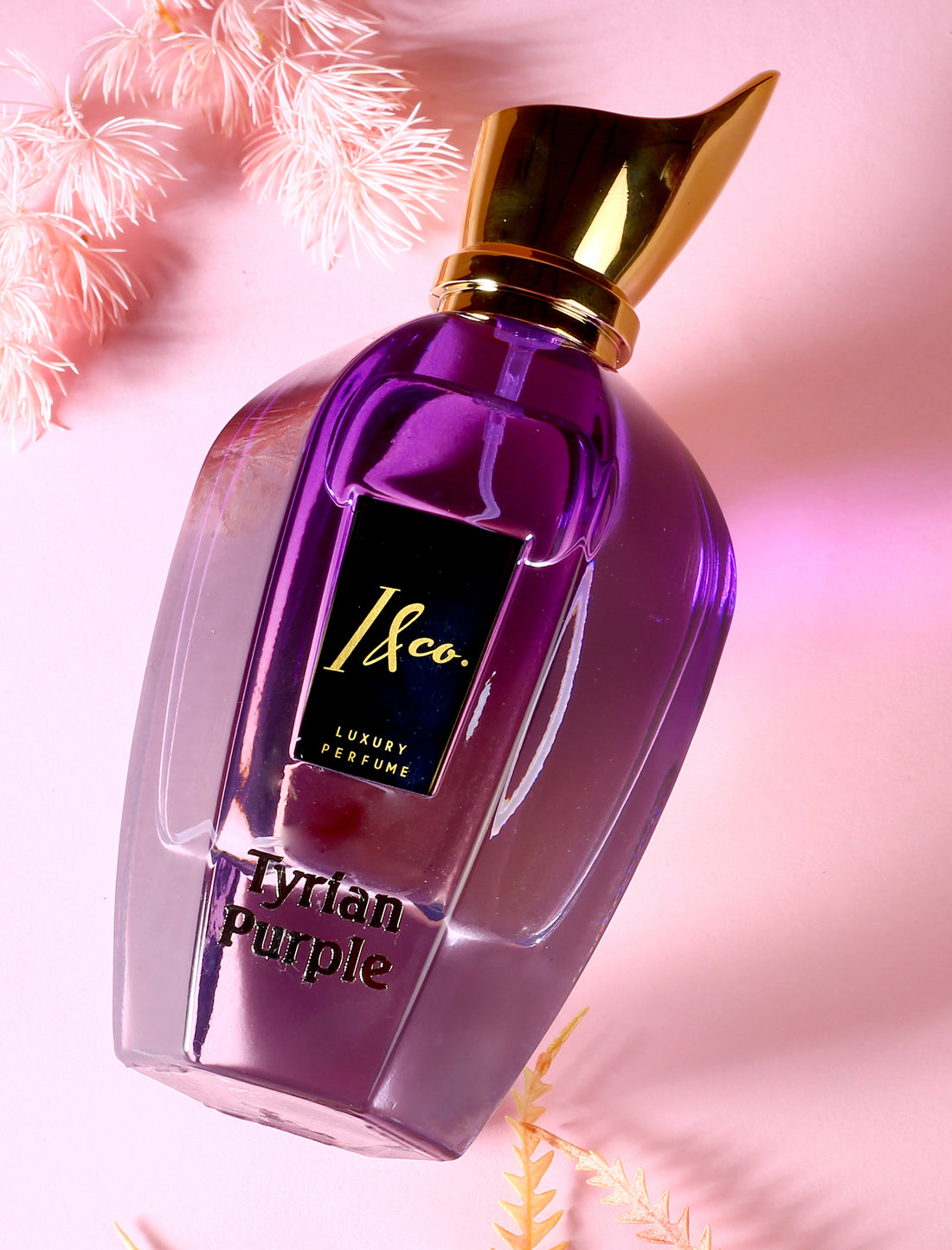 TYRIAN PURPLE FOR FEMALE (100ml)