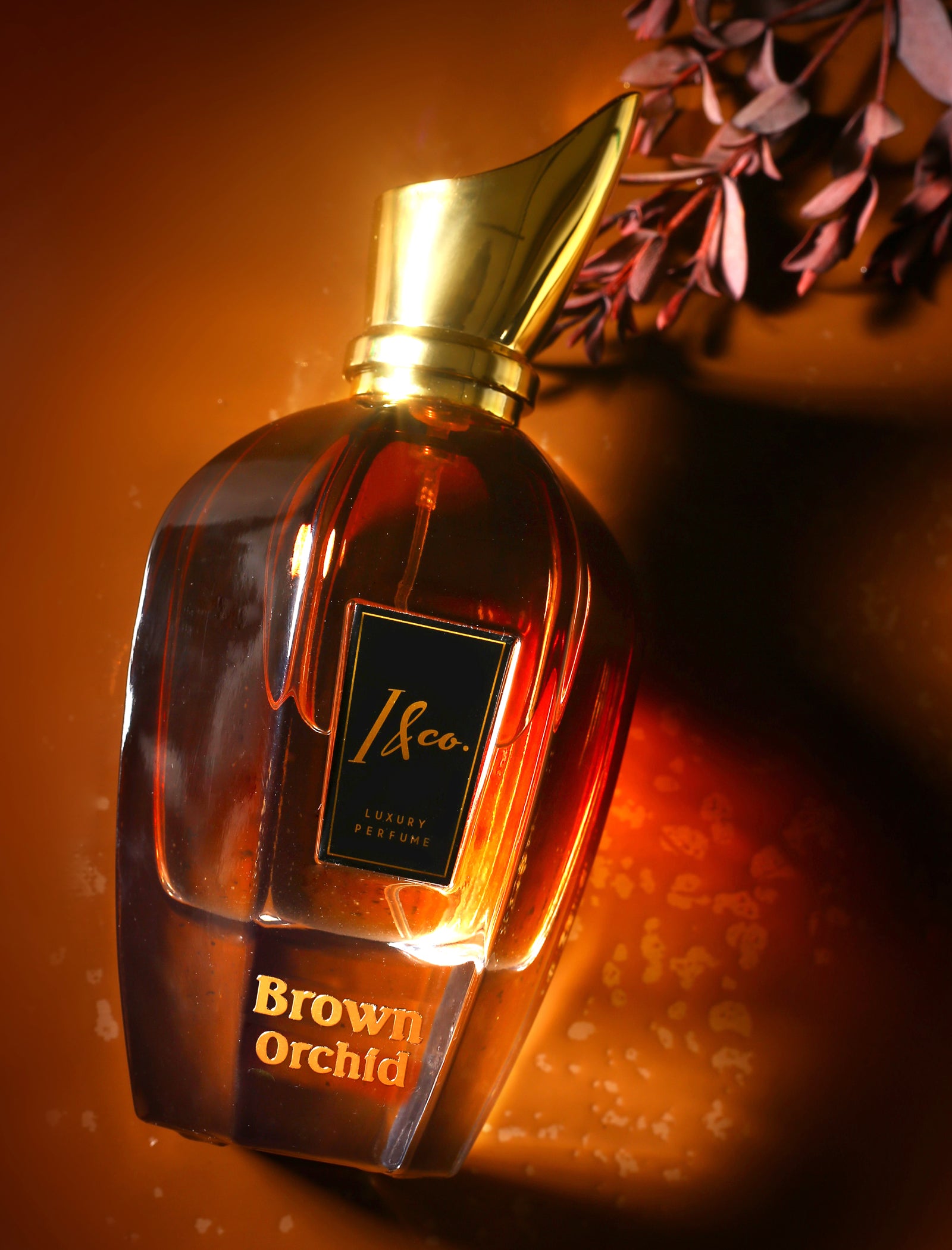 BROWN ORCHID PERFUME FOR UNISEX (100ML)