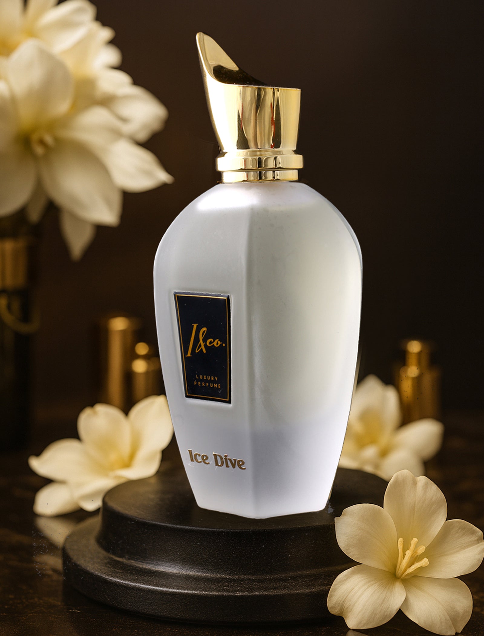 ICE DIVE PERFUME FOR UNISEX (100 ml)