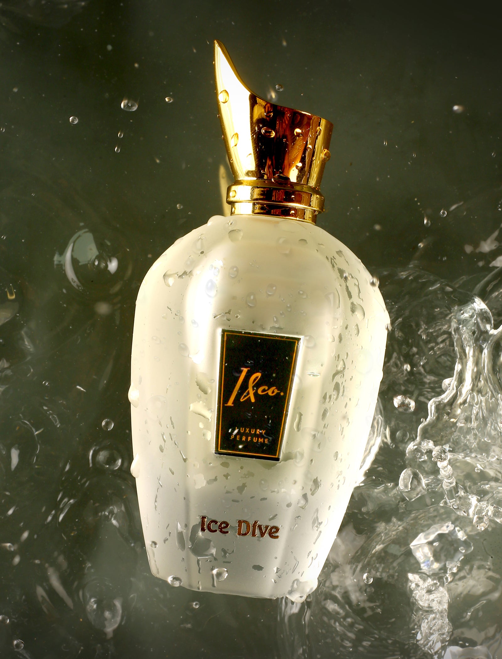 ICE DIVE PERFUME FOR UNISEX (100 ml)