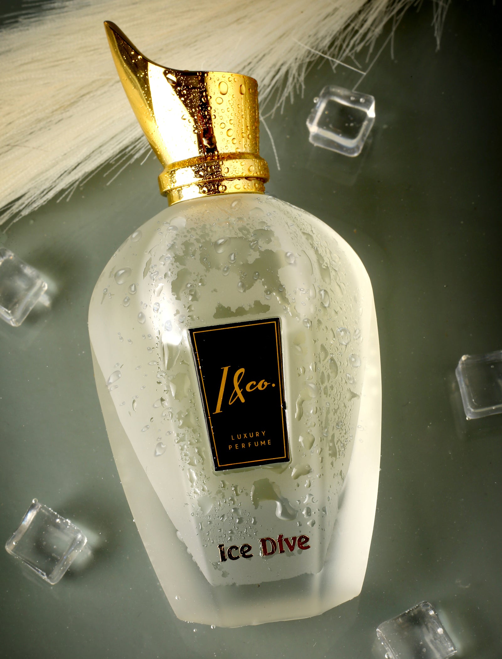 ICE DIVE PERFUME FOR UNISEX (100 ml)