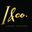 www.iandco.in logo